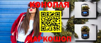 прущие грибы Кинель
