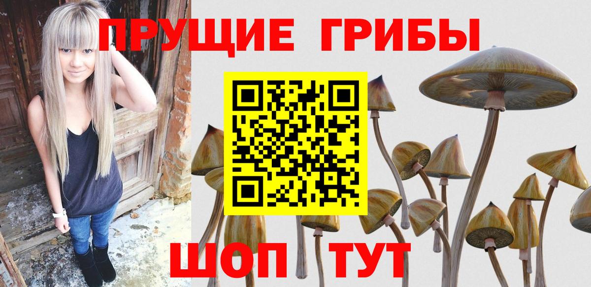 цена наркотик  Псилоцибиновые грибы MAGIC MUSHROOMS  Вход с VPN  Кропоткин 